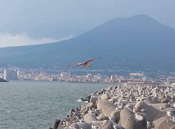 Casa Vacanza Nonna Antonietta Castellammare di Stabia Eksteriør bilde